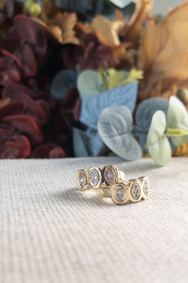 İkili Kıkırdak Küpe