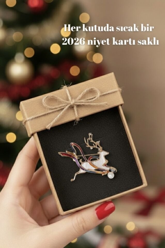 Yılbaşı Özel Renkli Broş